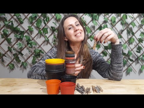 I turned plastic vases and old clothespins into Crafts