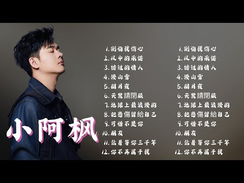 小阿枫🎯️🎯️【動態歌詞Lyrics】海來阿木10首最火的歌: 《别怕我伤心》《风中的承诺》《错过的情人》《漫山雪》
