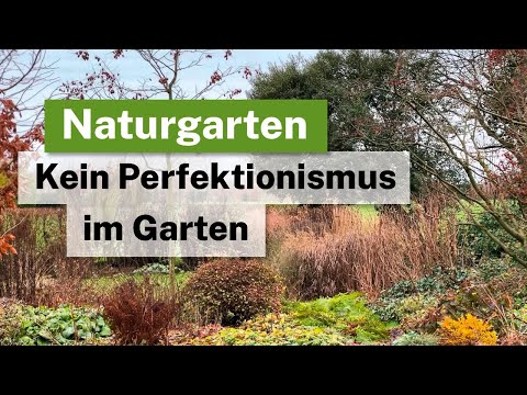 No perfectionism in the garden! On the right way to deal with nature in the garden.
