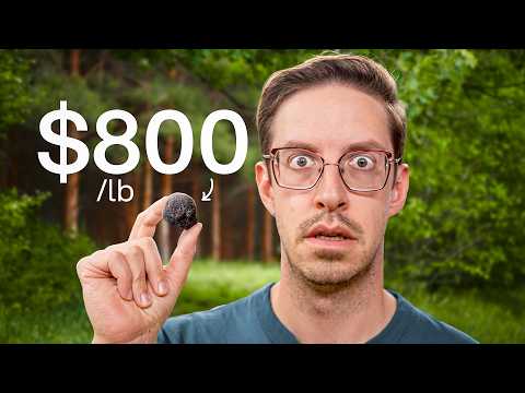 Try Guys Hunt The World's Rarest Food