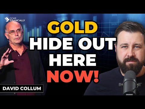 Surviving The Bubble Pop With Gold, Silver & Platinum |  Dave Collum