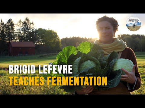 How to Ferment Vegetables at Home | Lacto-Fermentation for Beginners