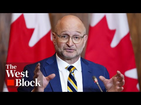 Carney "absolutely correct" that Canada needs to diversify economic partnerships: UN ambassador