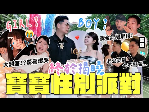 寶寶性別大公開