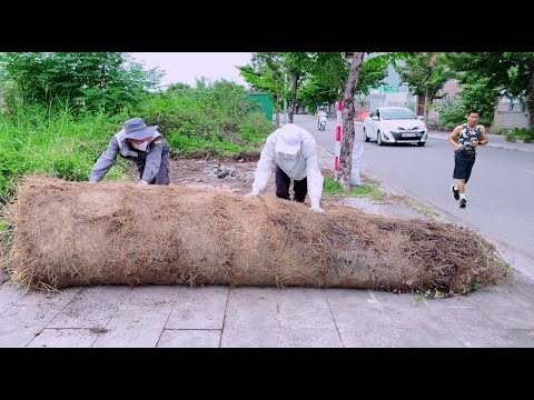 Neighbors said there was no sidewalk here until they saw under the giant roll of grass - part 2