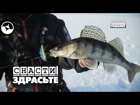 Winter Fishing. Volga River Perch Fishing | Gear, Hello!