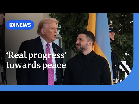 Zelenskyy says 'real progress' being made towards Ukraine peace deal | ABC NEWS