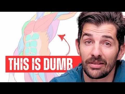 5 Steps To Draw Anatomy on EASY Mode