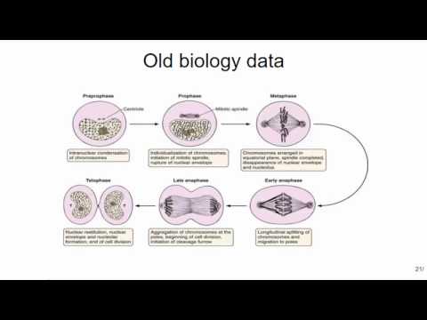 Building Ontologies: An Introduction for Engineers (Part 1)