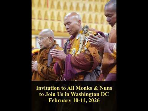 They will come back tomorrow. Let's welcome them | walk for peace.