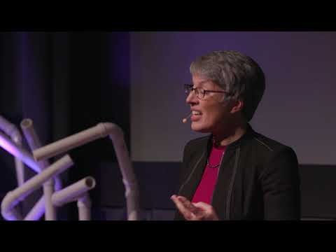 Microplastics:  Knowns, Unknowns, and Actions | Sheila Hemami | TEDxBeaconStreet