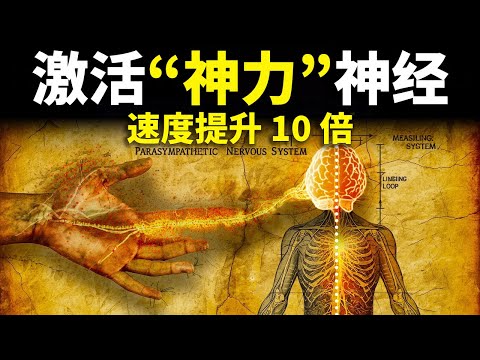 神经科学家称之为“上帝神经”——激活它只需4分钟，显化速度就能提升10倍！