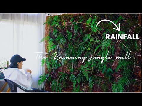 i Turned My Wall into A Rainning Terrarium