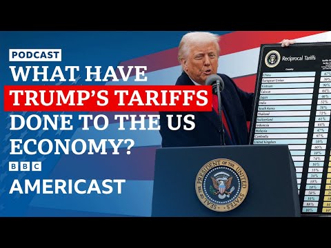 Could Trump's tariffs shrink the US economy? | 100 Days of Trump | BBC Americast