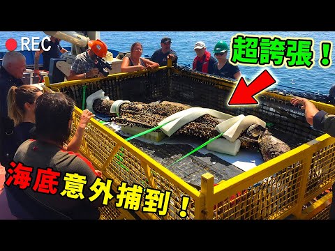 全世界最詭異的10大捕撈事件！一個比一個驚悚，第一名嚇得漁民落荒而逃，專家至今沒敢下定論！