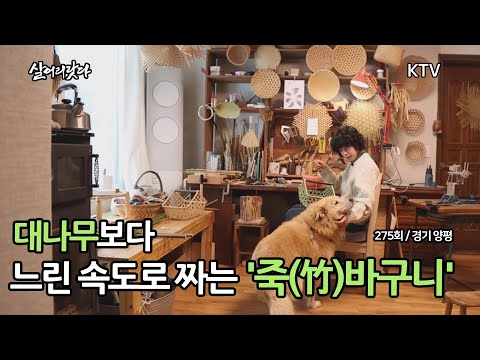 (경기 양평/275회) 죽순은 하루 80cm 자란다? 대나무보다 느린 속도로 짜는 '죽(竹)바구니' koreatv, handicraft, basket, bamboo