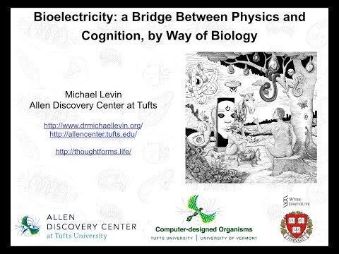 "Bioelectricity: a bridge between physics and cognition, by way of biology" by Michael Levin