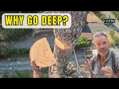 They don’t Teach You This In School