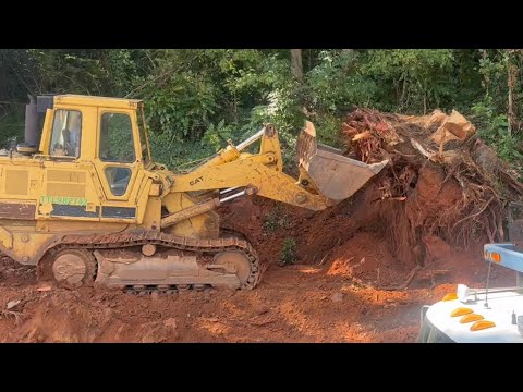 Cat 963 Track Loader VS Massive Tree Stump, Stump Removal, FT Jake Brake Action Big Cam 3 Cummins