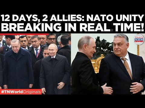 NATO UNITY SHATTERS: Orban, Erdogan Defy EU On Putin & Independent Foreign Policy | Times Now World