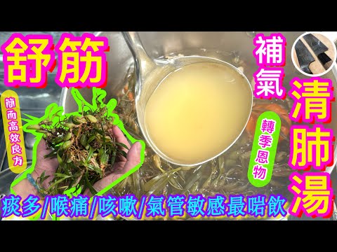 一轉季🍂氣管敏感/痰多咳嗽🫁喉痛/作感冒🥲筋骨酸痛🦵🏻😖就飲佢啦🎯【五指毛桃石仙桃湯】潤肺化痰止咳/舒筋活絡/秋天湯水🍁