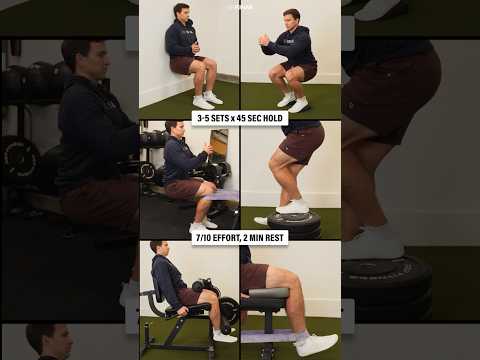 Patellar Tendinopathy Exercises (Early Stage) #shorts