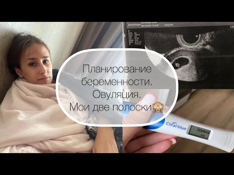 Планирование беременности/овуляция/первые симптомы/как сообщила мужу и родителям❤️