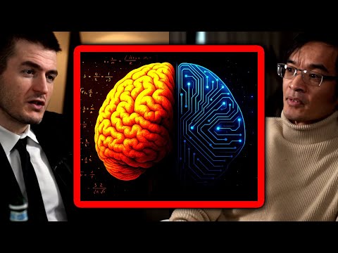 The limits of AI in mathematics: What makes human special | Terence Tao and Lex Fridman