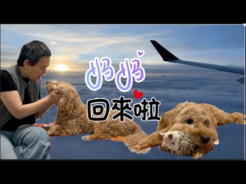 妈妈回来了 皮皮好开心