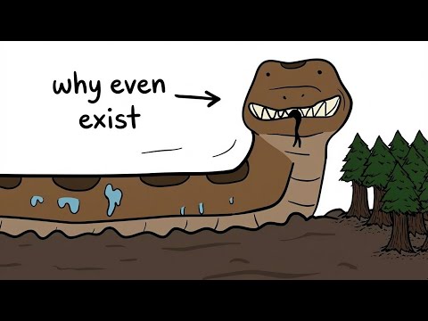 Why it Sucks to be born as a Titanoboa