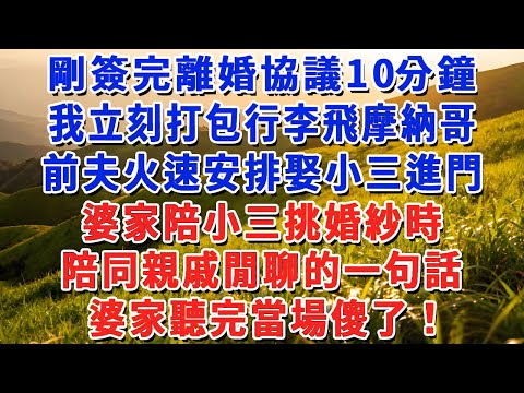 剛簽完離婚協議10分鐘，我立刻打包行李飛摩納哥，前夫火速安排娶小三進門，婆家陪小三挑婚紗時，陪同親戚閒聊的一句話，婆家聽完當場傻了！#小娟講故事 #情感故事 #老年生活