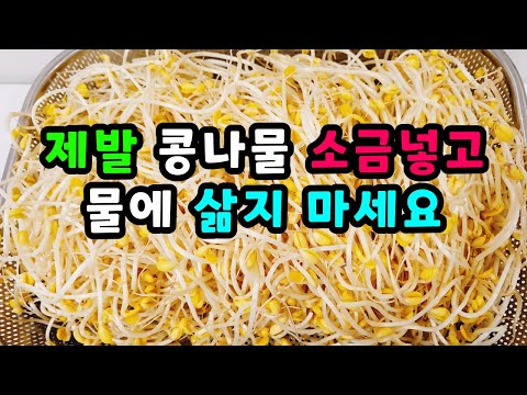💚제발 콩나물 삶지 마세요 무조건 이 방법이 맛있어요 이렇게 하시면 맛이 해피해요