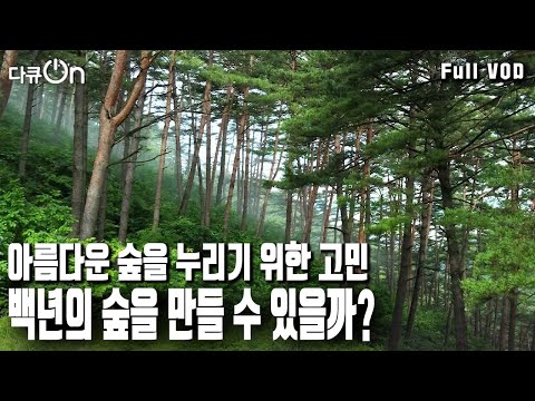 [다큐온] 지속가능한 백년의 숲으로 만들기 위한 숨 가쁜 노력! 우리들의 숲, 내일의 숲 (KBS 20230407 방송)