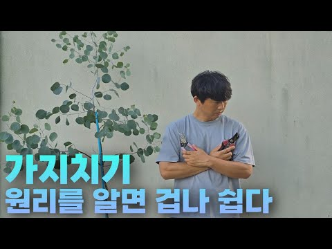 For those of you who have been struggling with pruning, here are five principles to consider.