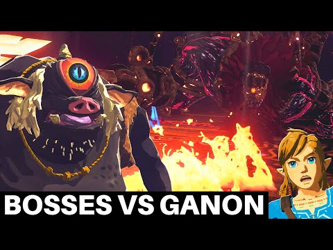 What Happens if Other Bosses Fight Ganon?