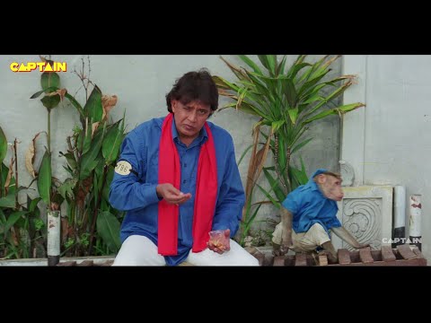 मिथुन चक्रवर्ती और बंदर की हिंदी फिल्म || बिल्ला नं 786