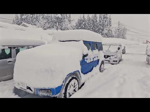 Solo Snowboard Trip with Mercedes Benz G580 with EQ Technology / メルセデスベンツG580で雪山一人旅