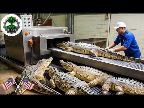 Extreme Dangerous Wood Chipper & Shredder Demolitions: Crushing Everything in Sight! #53