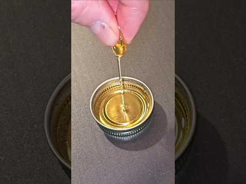 Emergency candle using fish oil