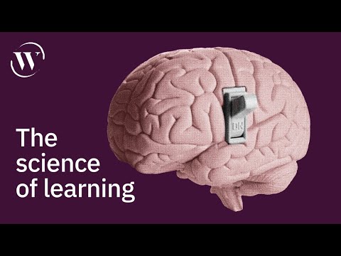 How to turn information into intelligence | Barbara Oakley