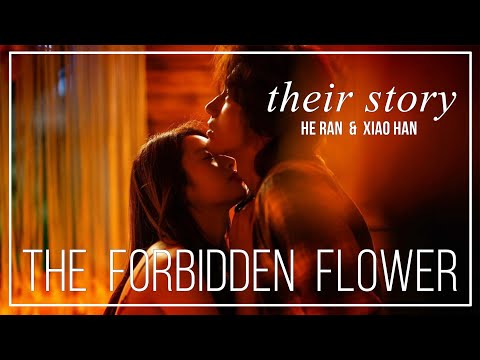 The Forbidden Flower FMV OST ► He Ran & Xiao Han (Their Story)