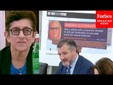 'Do You Agree With Their Sentiment That Sen. Sinema Is Corrupt?': Ted Cruz Confronts Gigi Sohn