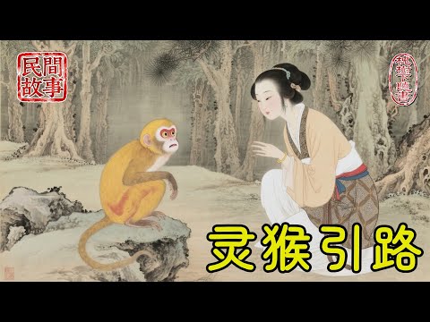 寡婦流落荒野啃樹皮,偶遇迷路小猴還幫它摘野果,猴群找來後帶她上山,山上竟有一座廢棄糧倉,寡婦打開地窖驚呆了!#民間故事 #傳統文化 #原創虛構 #華語有聲書 #槐樹下聽書