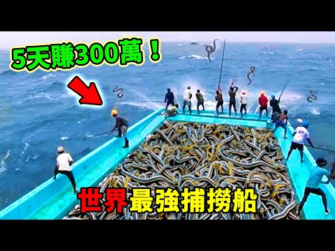 全世界最強的十大捕撈船！ AI找魚只能排第七，第一名把海洋變成流水線，聯合國出動衛星全程監控！