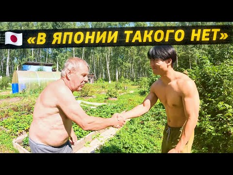 A Japanese man's first time at a dacha. Culture shock, barbecue, fishing, and mushrooms.