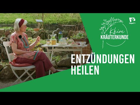 Pflanzen & Ernährung bei Entzündungen | Kleine Kräuterkunde
