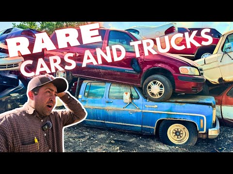 Look at What I Found in the CRUSHER Pile! (Unexpected Finds)