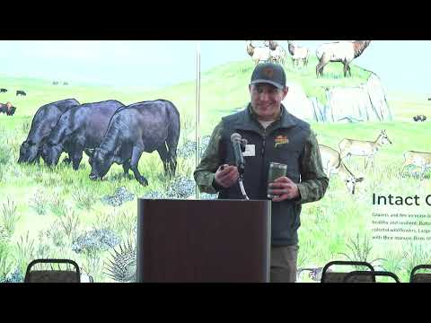 Pheasants Forever and Fire Programs