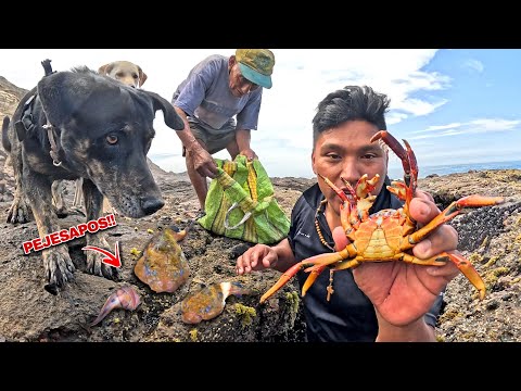 Don Adrián y Yo fuimos a capturar Pejesapos y no vas a creer lo que cocinamos - Vive solo en el mar