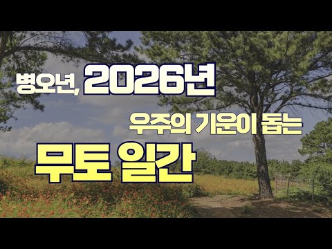 병오년, 2026년 사주 무토일간이 이 영상을 봐야하는 이유 무토일간 신년운세